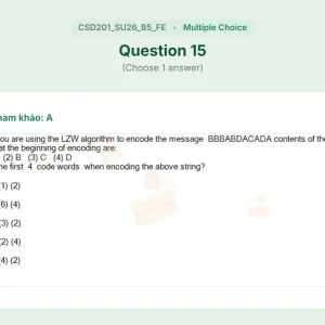 CSD201 SU26 B5 FE_015.webp