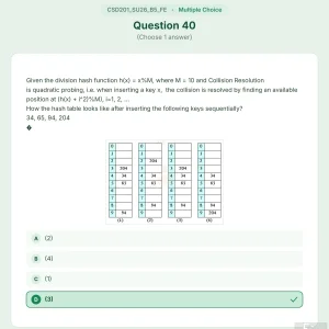 CSD201 SU26 B5 FE_040.webp