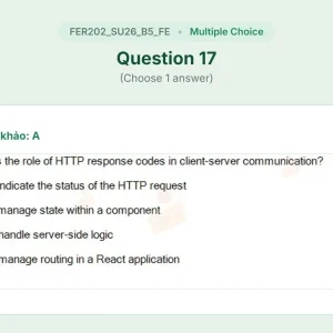 FER202 SU26 B5 FE_017.webp
