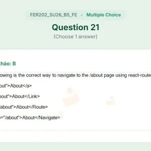 FER202 SU26 B5 FE_021.webp