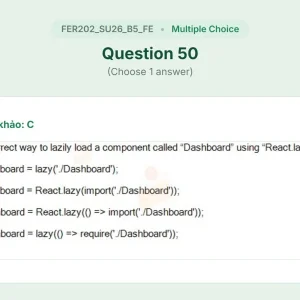 FER202 SU26 B5 FE_050.webp