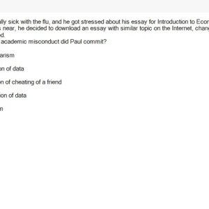 SSL101c SU26 FE RE_029.webp