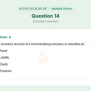 ACC101 SU26 B5 FE RE_014.webp