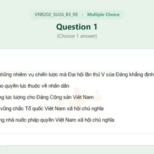 VNR202 SU26 B5 FE RE_001.webp