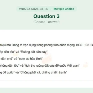 VNR202 SU26 B5 FE RE_003.webp