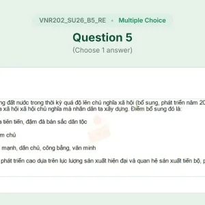 VNR202 SU26 B5 FE RE_005.webp