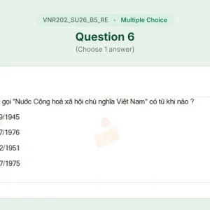 VNR202 SU26 B5 FE RE_006.webp