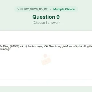 VNR202 SU26 B5 FE RE_009.webp