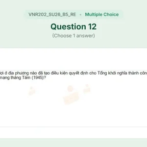 VNR202 SU26 B5 FE RE_012.webp