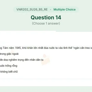 VNR202 SU26 B5 FE RE_014.webp