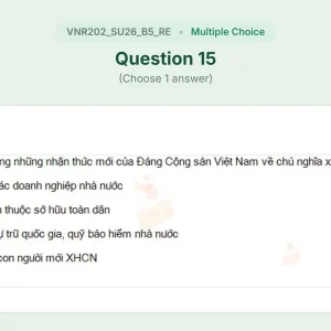 VNR202 SU26 B5 FE RE_015.webp