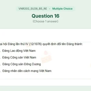 VNR202 SU26 B5 FE RE_016.webp