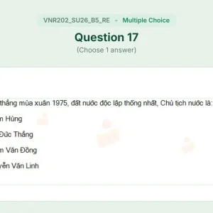 VNR202 SU26 B5 FE RE_017.webp