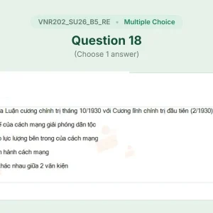 VNR202 SU26 B5 FE RE_018.webp