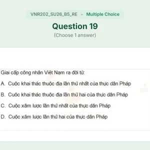 VNR202 SU26 B5 FE RE_019.webp