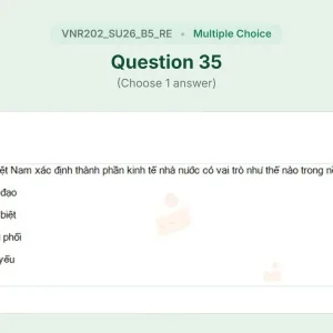 VNR202 SU26 B5 FE RE_035.webp