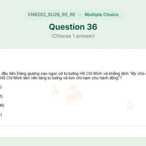 VNR202 SU26 B5 FE RE_036.webp