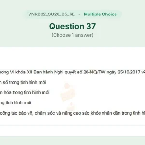 VNR202 SU26 B5 FE RE_037.webp