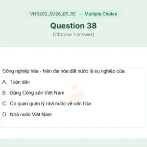 VNR202 SU26 B5 FE RE_038.webp