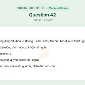 VNR202 SU26 B5 FE RE_042.webp