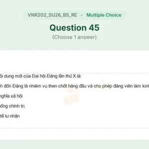 VNR202 SU26 B5 FE RE_045.webp