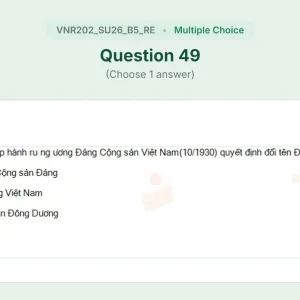 VNR202 SU26 B5 FE RE_049.webp