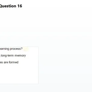 SSA101 SP26 FE_016.jpg