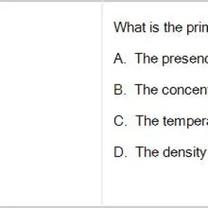 SDI101m SP26 FE RE_039.webp