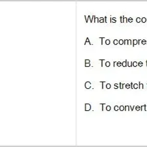 CPV301 SP26 FE RE_042.webp