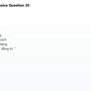 mc_question_20.webp