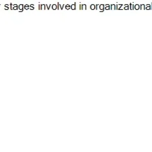 Question 23.webp
