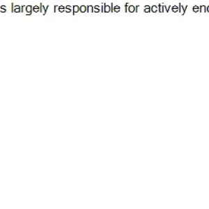 Question 33.webp