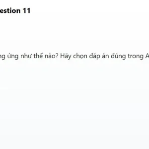 JPD316 SP26 FE R_011.webp
