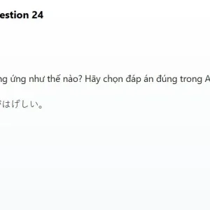 JPD316 SP26 FE R_024.webp