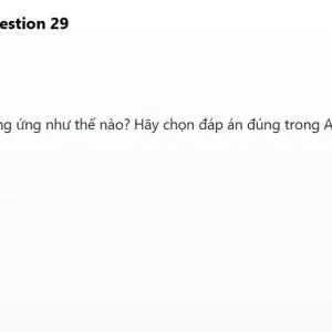 JPD316 SP26 FE R_029.webp